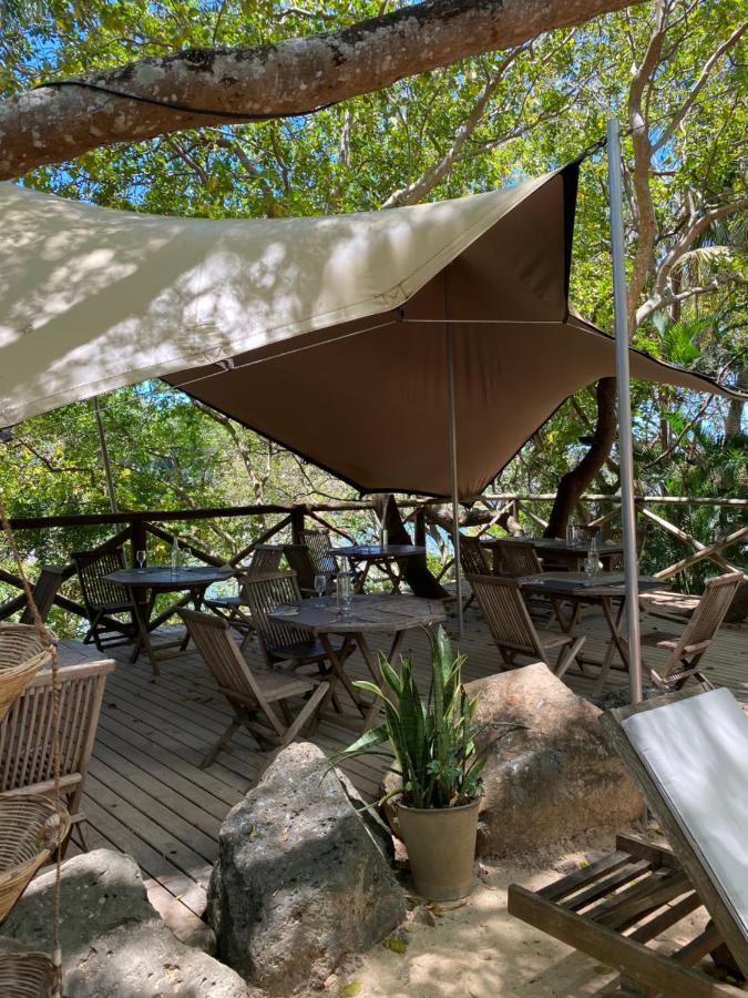 Otentic, Eco Tent Experience Grand River South East Luaran gambar