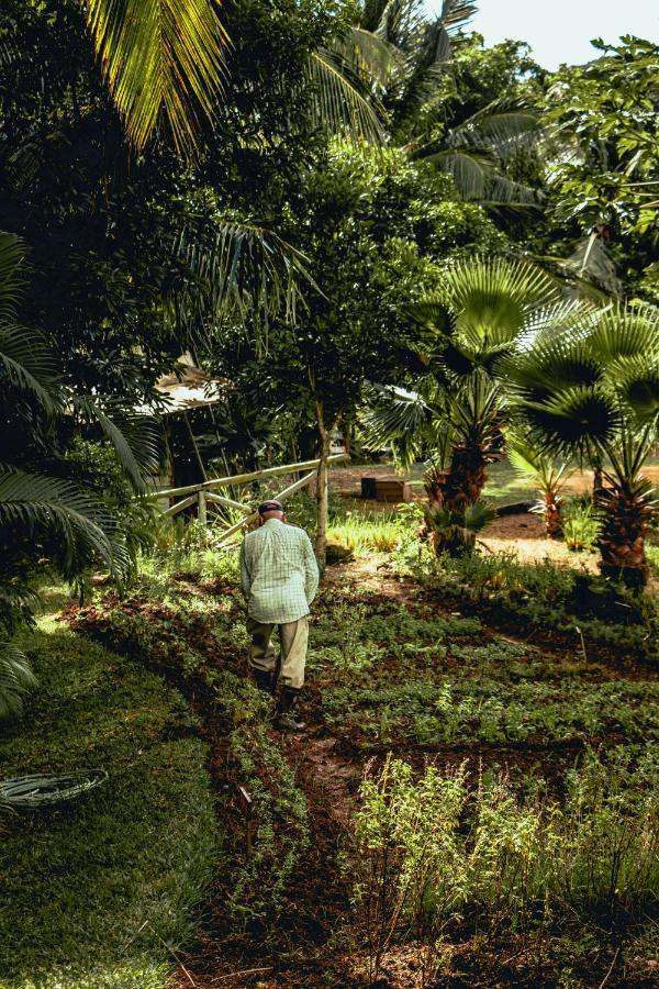 Otentic, Eco Tent Experience Grand River South East Luaran gambar